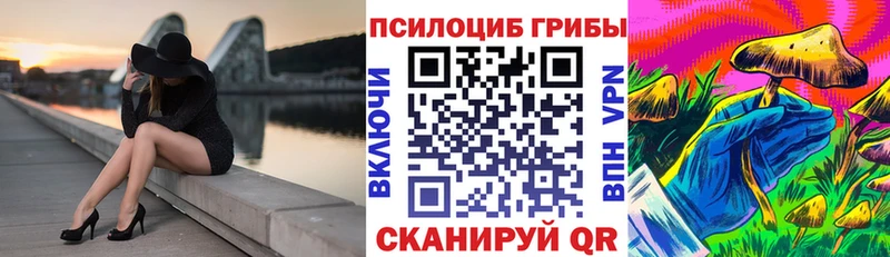 Галлюциногенные грибы Cubensis  где купить наркоту  Чухлома 