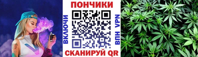 Бошки Шишки THC 21%  Чухлома 